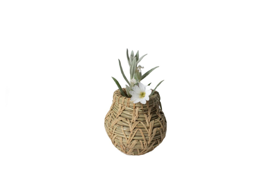 Mini Pine Vase